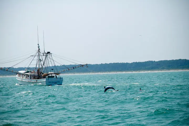 a small boat in a large body of water