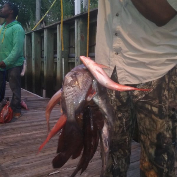 a man holding a fish