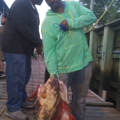 a man holding a fish