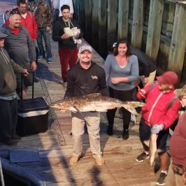 a group of people standing next to a fence