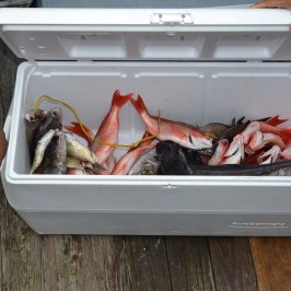 a refrigerator filled with food