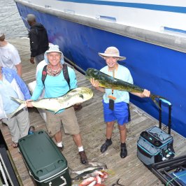a group of people standing on top of a suitcase