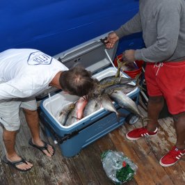 a man standing next to a suitcase