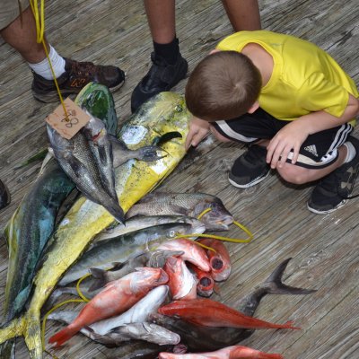 a man holding a fish