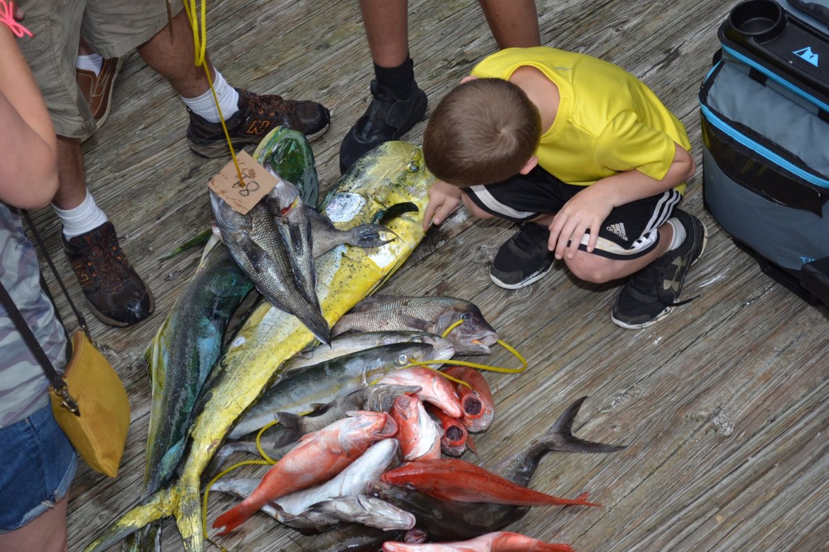 1_Dsc_0028 a man holding a fish