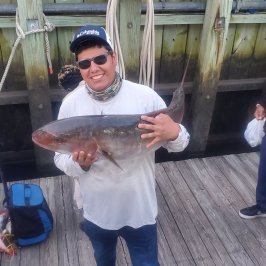 a person holding a fish