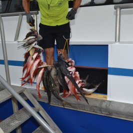 a person standing on a boat