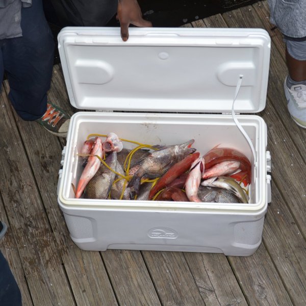 a group of people standing in front of a refrigerator