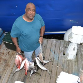 Orange and a dog posing for the camera