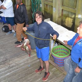 a group of people standing around a bench