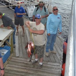a group of people standing next to a fence