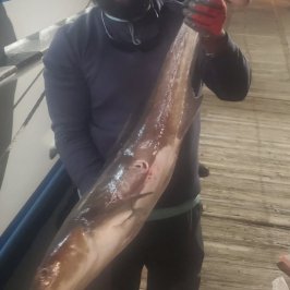 a person wearing a costume