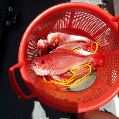 a bowl of food on a table