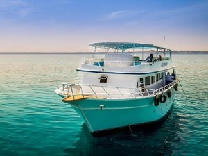 A Brief Guide For Boat Charters and Rentals