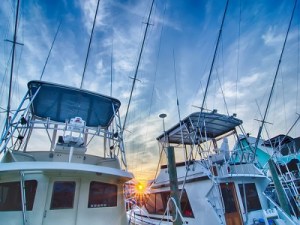 fishing charter