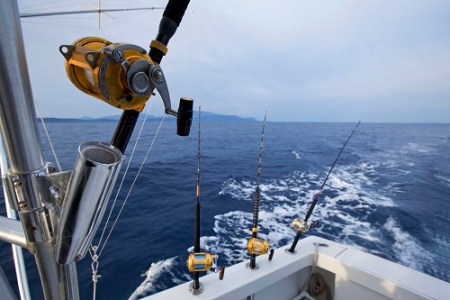 fishing charter