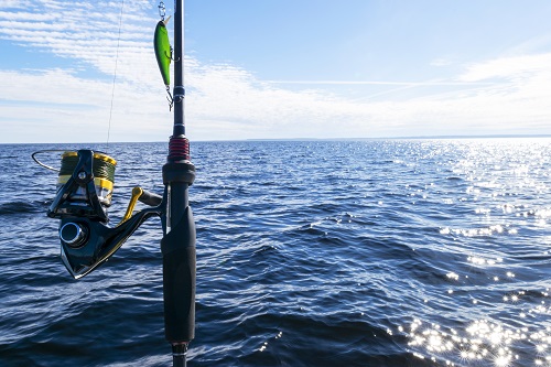 private fishing charter private fishing charter