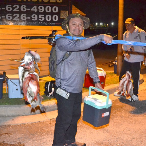 a person wearing a costume