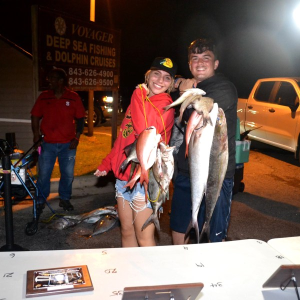 a group of people standing on top of a car