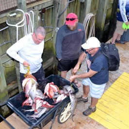 a man that is cooking some food