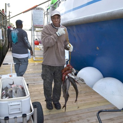 a group of people standing around a plane