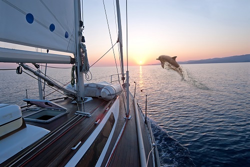dolphin cruise