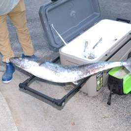 a piece of luggage sitting on top of a suitcase