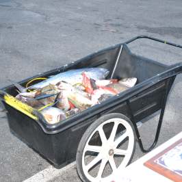 a person standing in a parking lot