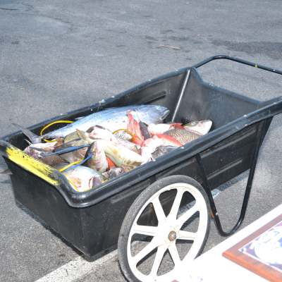 a person standing in a parking lot