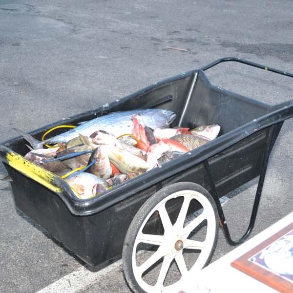 a person standing in a parking lot