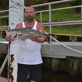 a person holding a fish by a fence