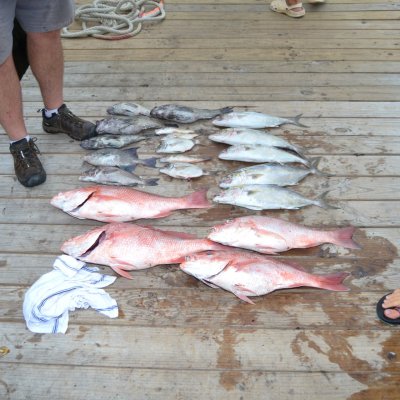 a person holding a fish on a cutting board