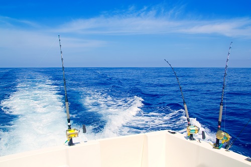 fishing charter