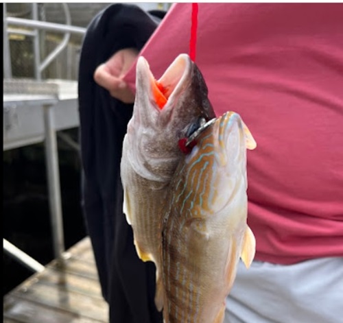 deep sea fishing in Myrtle Beach SC deep sea fishing in Myrtle Beach SC