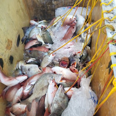 a pile of stuffed animals