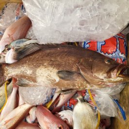 a pile of stuffed animals