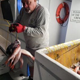 a man standing in front of a box