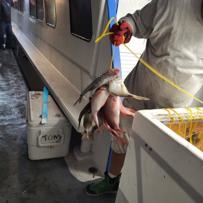 a person holding a fish