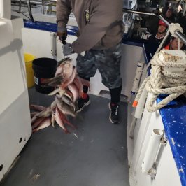 a man standing on a snow board