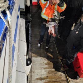 a group of people wearing costumes