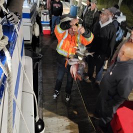 a group of people wearing costumes