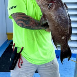 a man holding a fish
