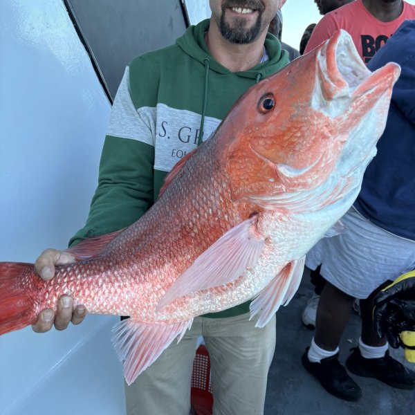 a man holding a fish