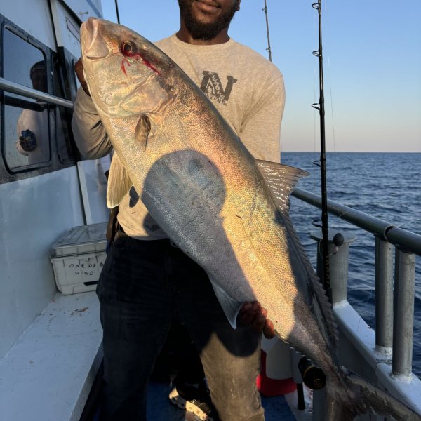 a person holding a fish in the water