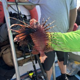 a person in a green shirt