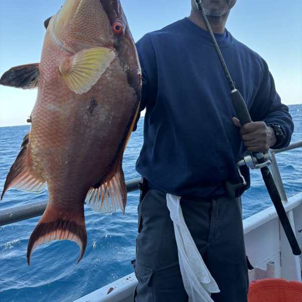 a person holding a fish