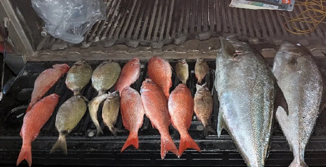 fishing charter in Myrtle Beach SC