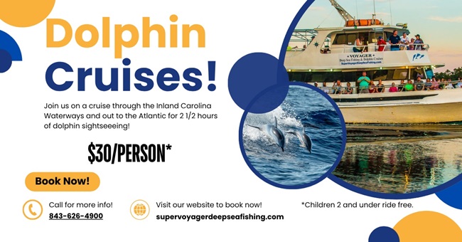 Dolphin Cruise in Myrtle Beach SC Dolphin Cruise in Myrtle Beach SC