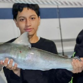 a person holding a fish