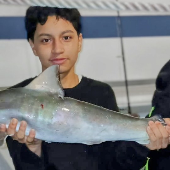 a person holding a fish